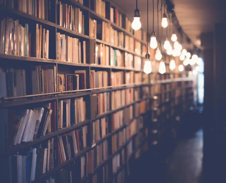 row of book shelves
