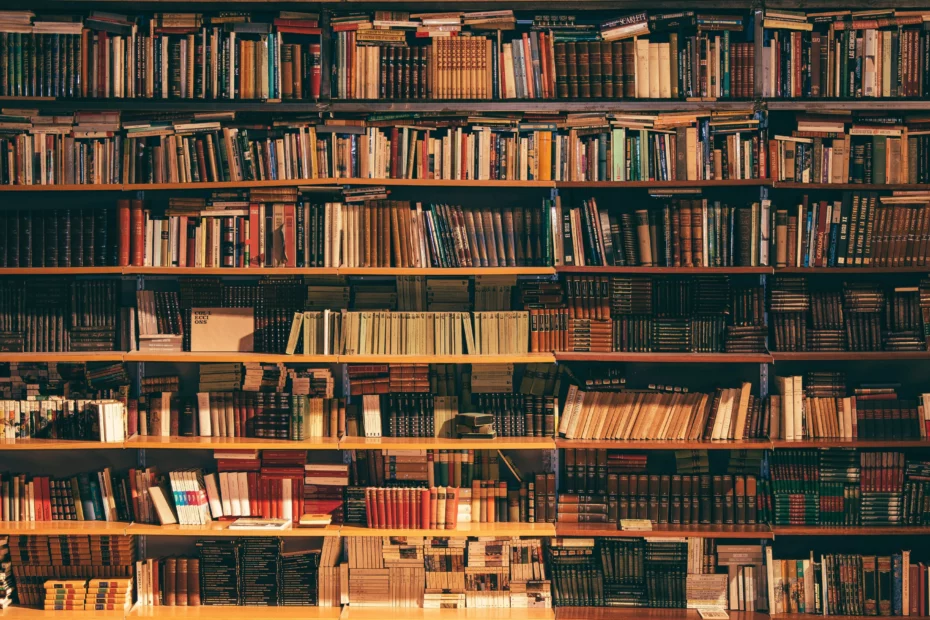 wall of book shelves