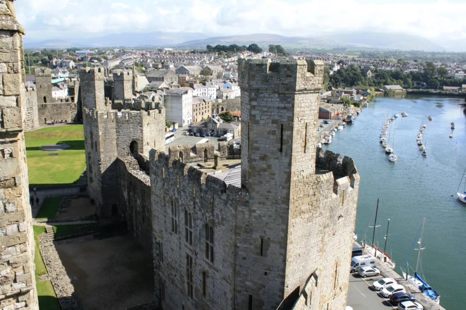 aerial shot of castle near river