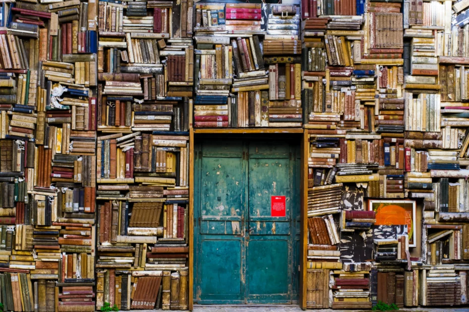 metal doorway surrounded by all of books