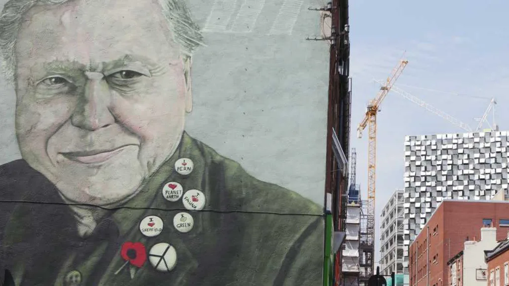 urban building with artwork of David Attenborough