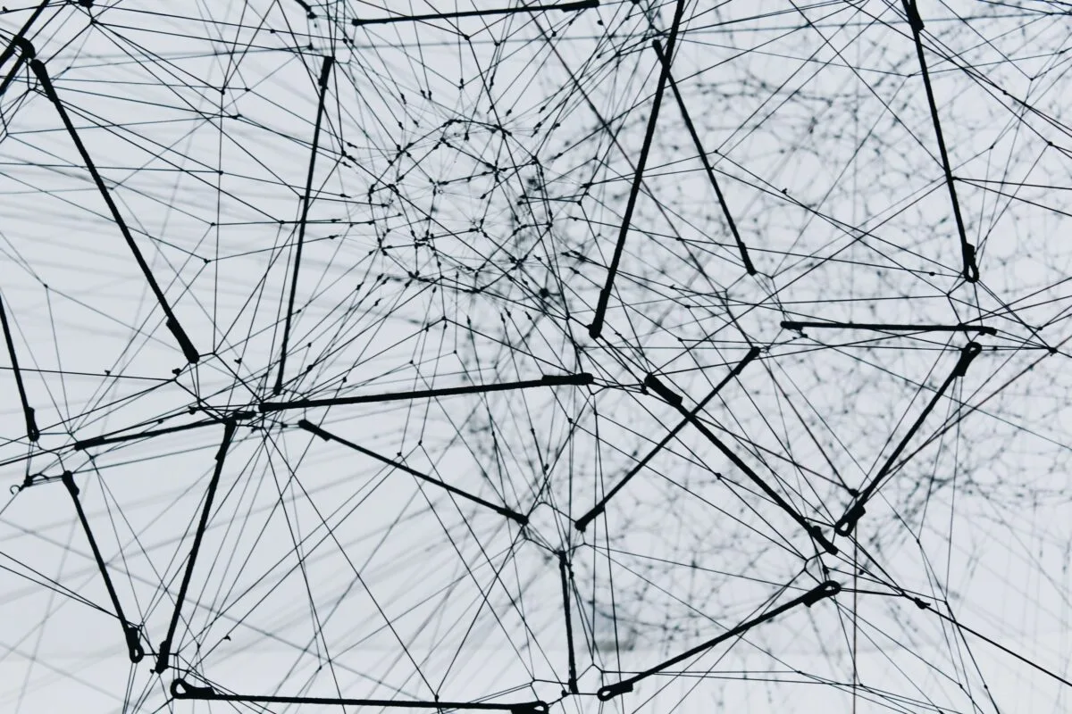 metal wire art installation - courtesy of Alina Grubnyak