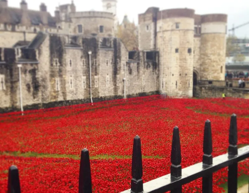 Image of the Tower of London