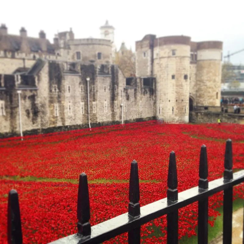 Image of the Tower of London