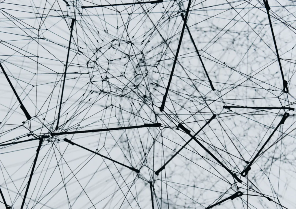 Black and white network image by alina grubnyak unsplash