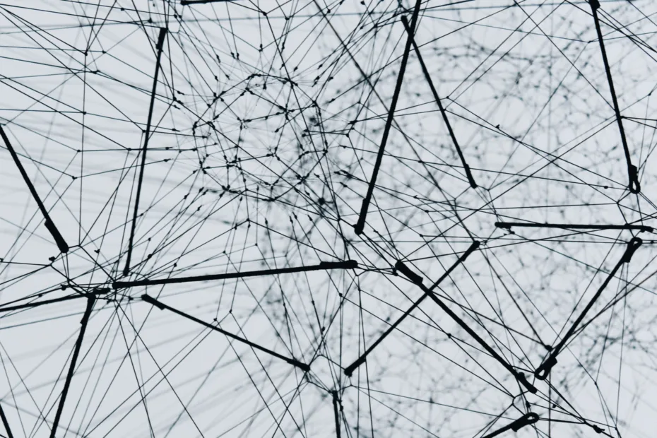Black and white network image by alina grubnyak unsplash