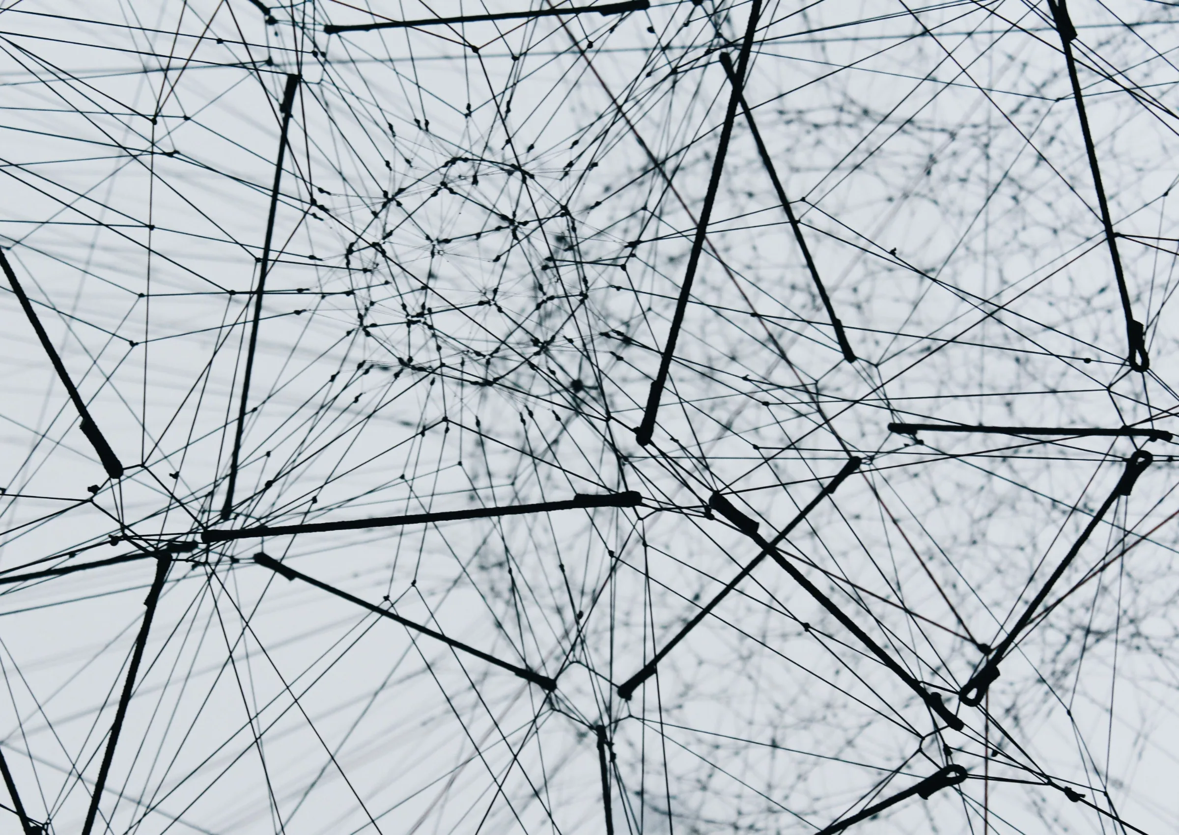 Black and white network image by alina grubnyak unsplash
